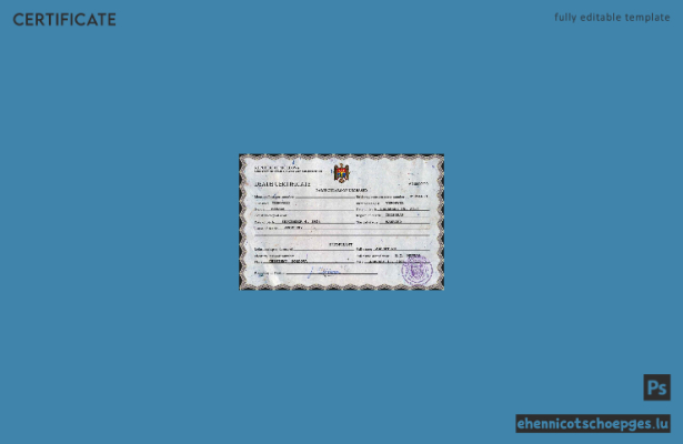 Moldauisches Personenstandsregister: PSD-Beispielansicht der Sterbeurkunde